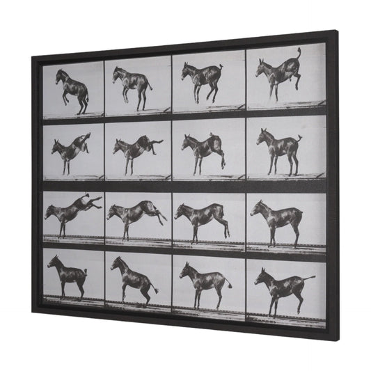 Bucking and Kicking - Elite Maison