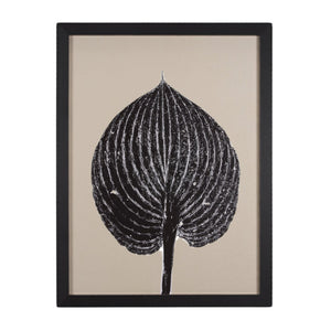 Hosta Framed Series