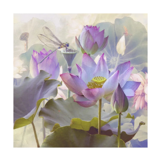 Lotus Sanctuary II