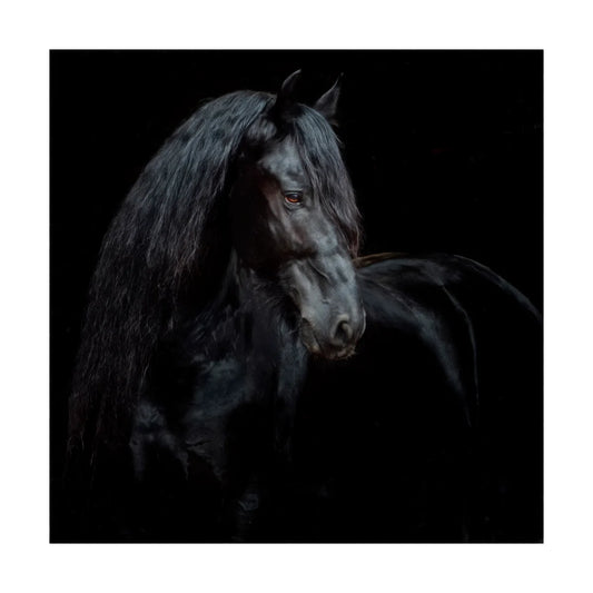 Equine Portrait XI - Elite Maison
