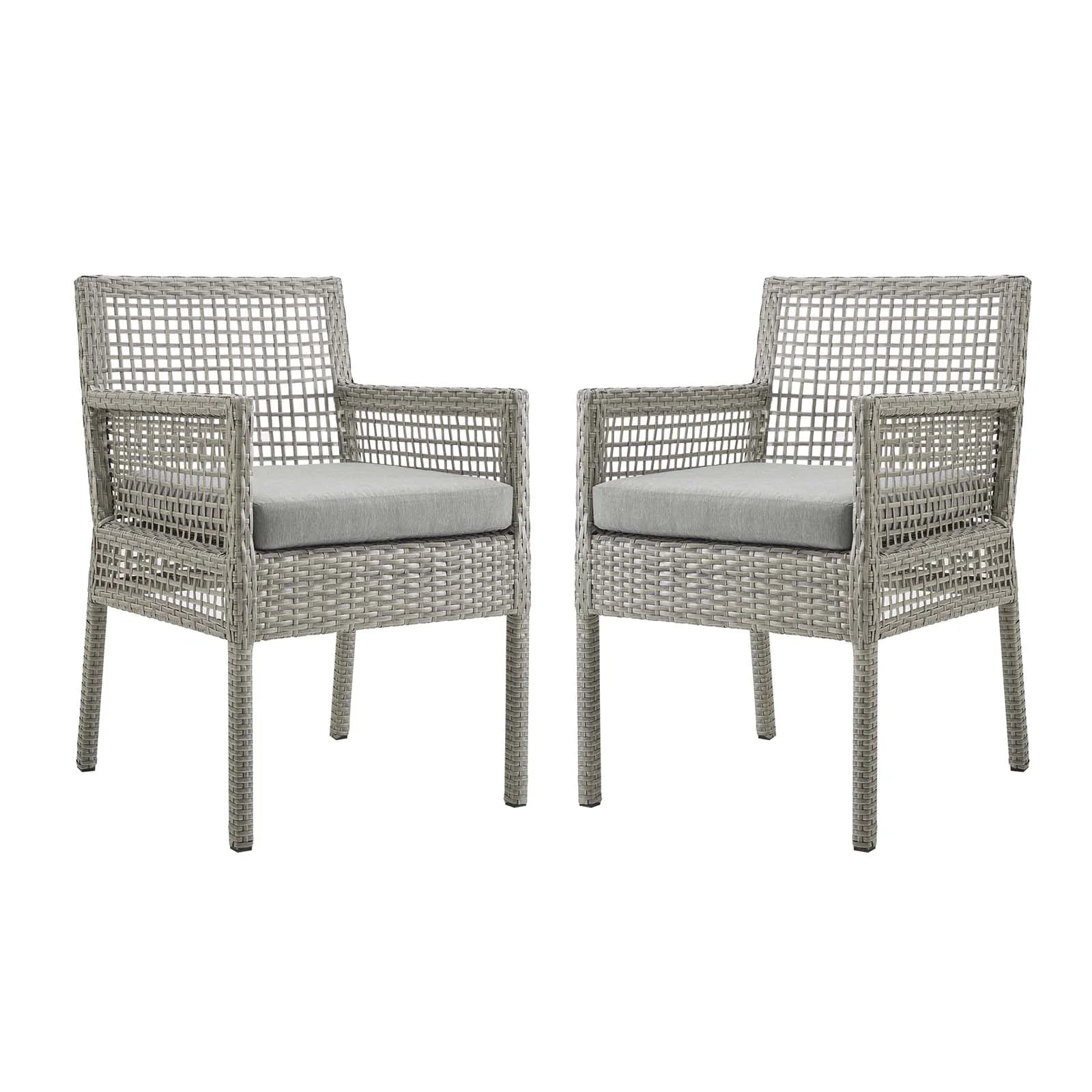 Aura Dining Armchair Outdoor Patio Wicker Rattan Set of 2 - Elite Maison